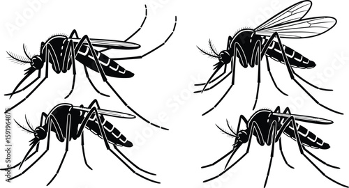 A black and white illustration of four mosquitoes on a white background in different orientations