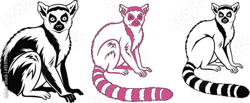 Three ring tailed lemurs in black and white vector illustration sitting on a white background