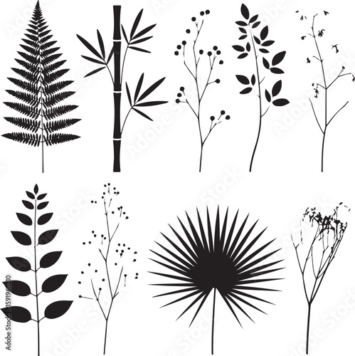 Assorted botanical silhouettes fern bamboo