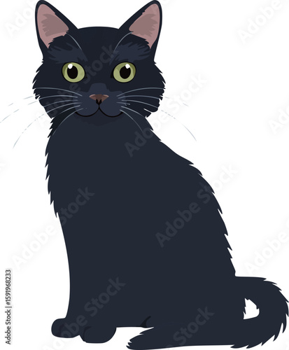 黒猫