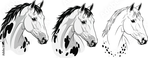 Three horse heads in black and white showing different spot patterns on their coats and manes design