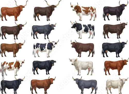 Collection of diverse cattle breeds standing in a grid against a white background