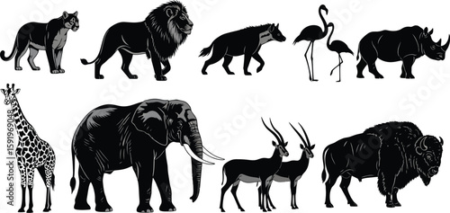 Illustration of various african animals including a lion elephant and giraffe in black and white