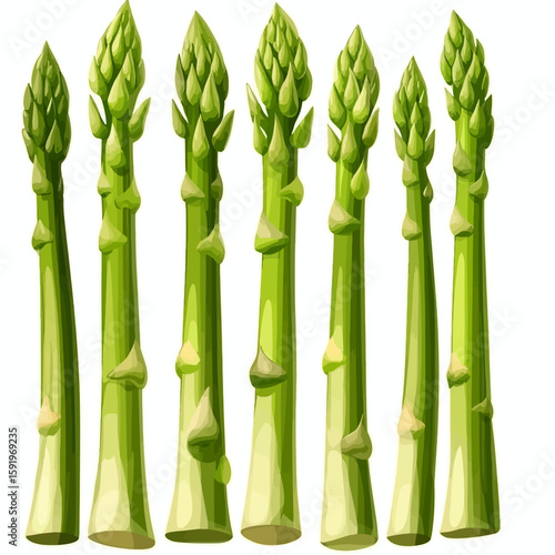 green asparagus on white background