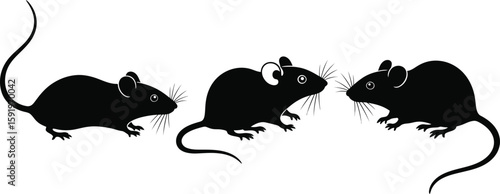 Three black silhouette mice facing each other on a white background in a cartoon vector style
