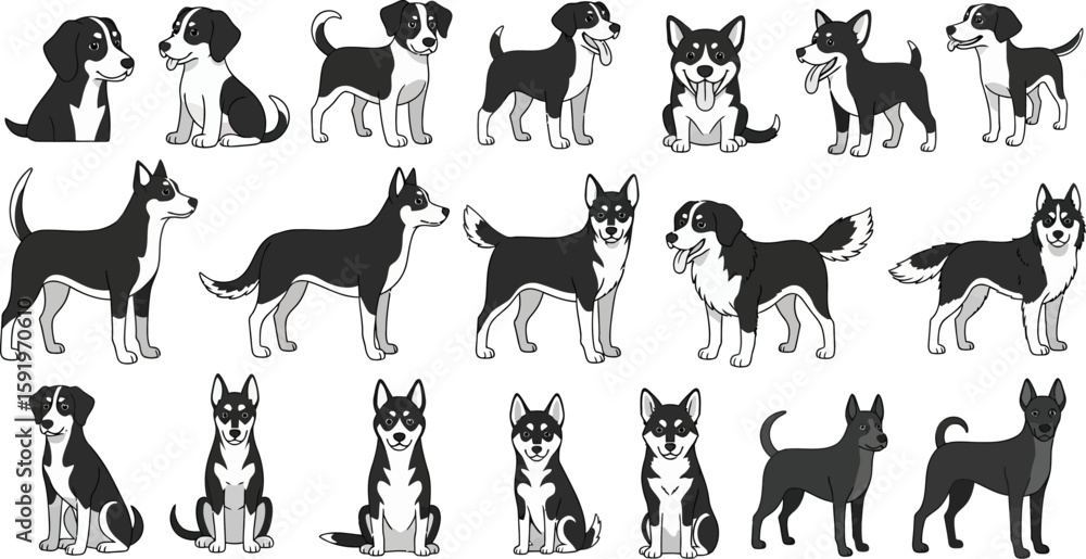 Fototapeta premium Collection of various black and white dog breeds in different poses on a white background vector art