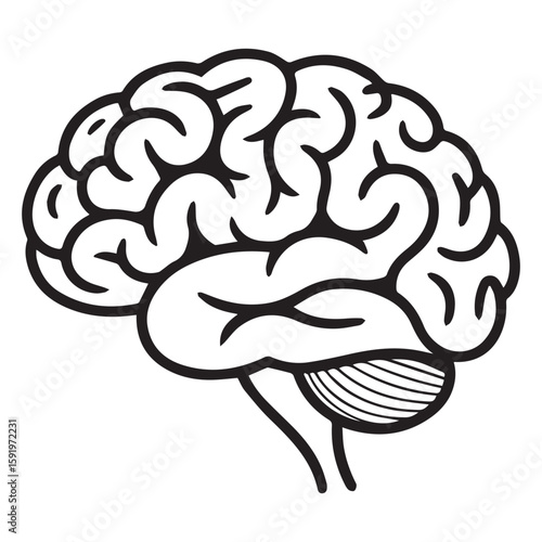 A detailed illustration of a human brain showcasing its complex structure and cognitive function, isolated on white background