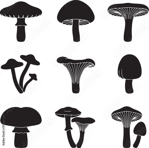 Black mushroom silhouettes various shapes fungi nature