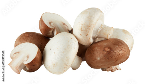 Fresh Agaricus bisporus mushroom cut out isolated transparent background