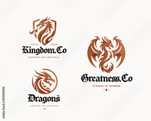 Stylized vector strong dragon logo with roar fire for sport team 