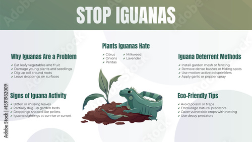 Vector horizontal infographic poster Stop Iguanas with cartoon green iguana, damaged garden, signs of infestation, control methods, and eco-friendly tips. Educational and eye-catching design.