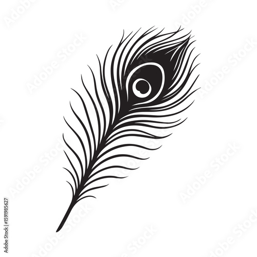 Elegant black peacock feather with distinctive eye pattern in silhouette