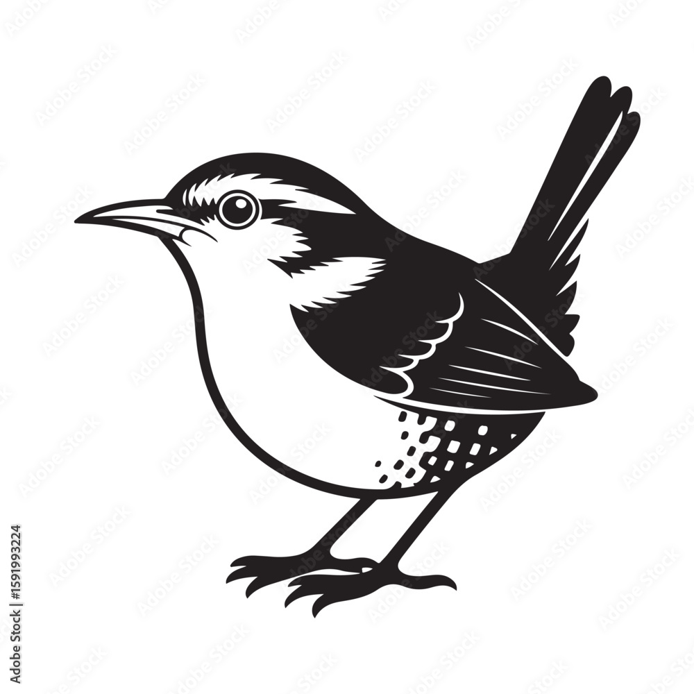 Fototapeta premium Carolina Wren Vector Illustration A Simple Black and White Bird Design