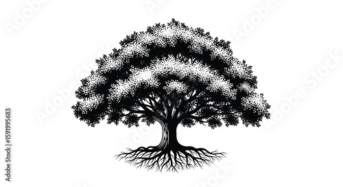 Detailed black and white oak tree illustration with visible roots and full canopy
