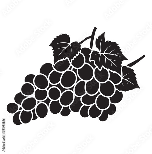 silhouette image of grapes with transparent background