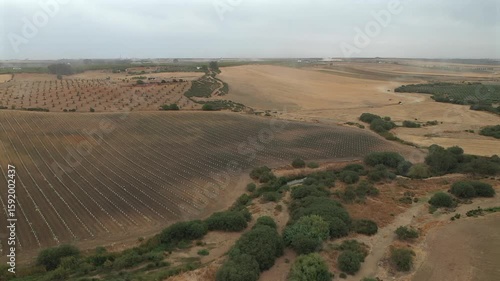 Rural agricultural landscape, Andalusia, Spain. Aerial drone panoramic view