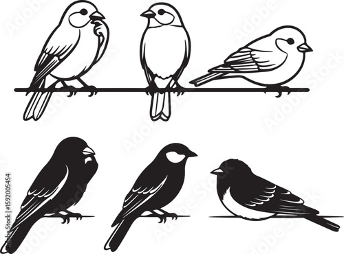 Wallpaper Mural set of birds on a branch Small Perching Birds Line Art - Detailed Songbird Outlines Hand-Drawn Garden Birds - Realistic Avian Sketches Set of Birds on a Branch - Minimalist Nature Line Art Torontodigital.ca