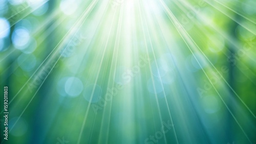 Soft Green Sunlight Filtering Through a Peaceful Forest Creating an Abstract Glowing Background