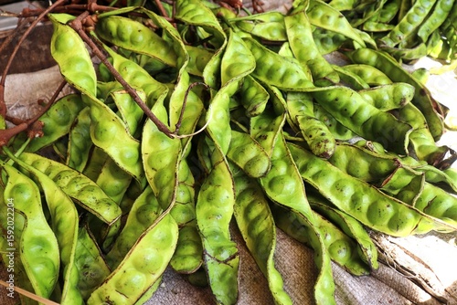 фотографія Petai also known as green stinky beans, being sold fresh and unpeeled at a traditional market