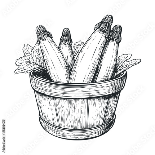 Freshly harvested zucchini in a wooden bowl with green leaves