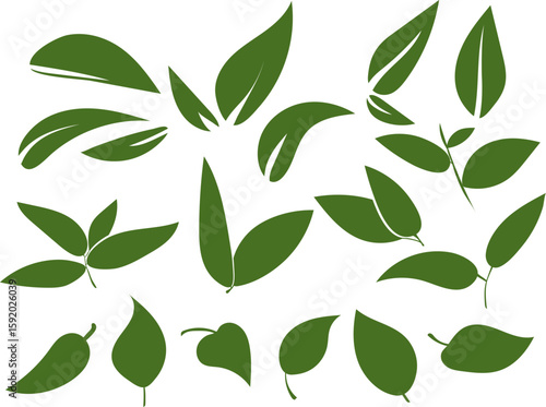 Illustration green leaves set vector