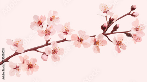 Elegant Cherry Blossom Branch Bloom: Showcase Delicate Pink Petals