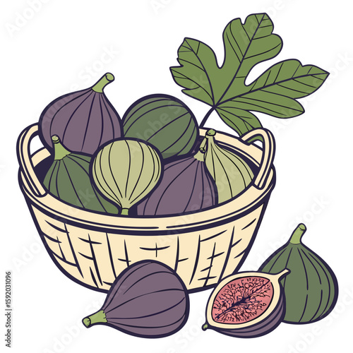 vector illustration of fresh vegetables