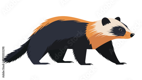 Fearless Honey Badger: Wildlife Animal in Natural Habitat