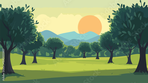 Serene Olive Tree Grove in Mediterranean Landscape