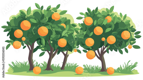 Vibrant Orange Grove Citrus Harvest Landscape with Fruit Trees