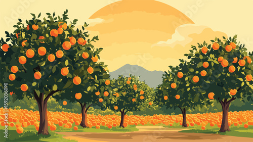 Peaceful Sunrise at Orange Tree Orchard with Ripe Fruits - Agriculture and Farming Concept