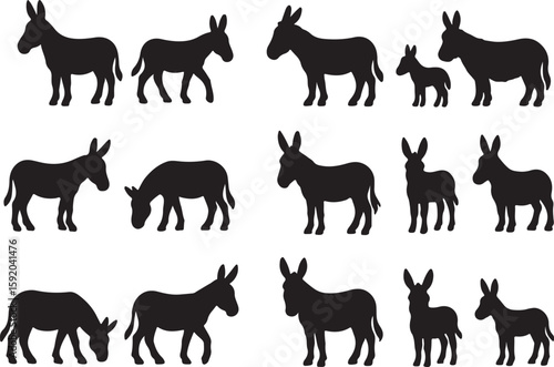 Black donkey silhouettes standing walking grazing white animal