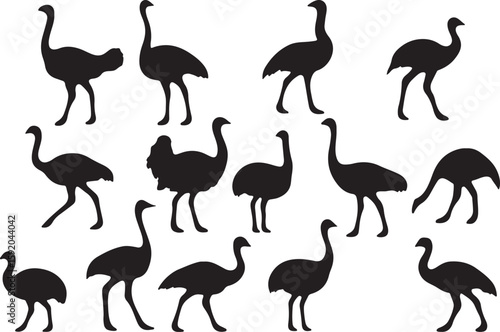 Black ostrich silhouettes standing walking and bending bird animal