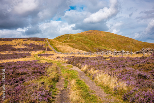 Картината върху платно Heather-covered moorland and hill track leading to a summit in Pentland Hills Re