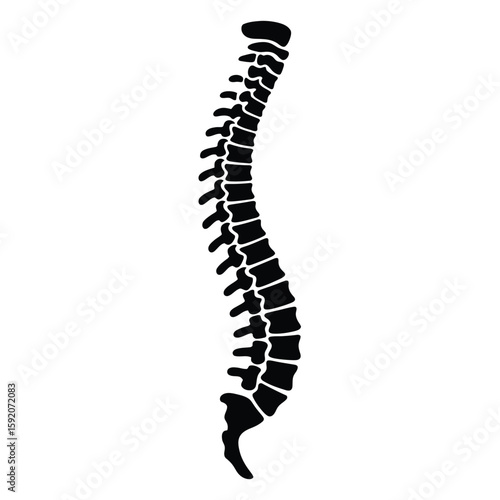 Stylized silhouette of a human spinal column