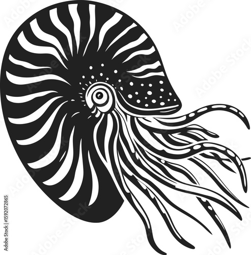 Nautilus shell with detailed tentacles, intricate marine mollusk illustration in black and white, vintage oceanic art