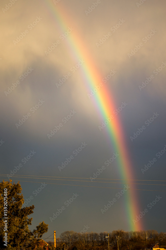 rainbow over the field rainbow over the field