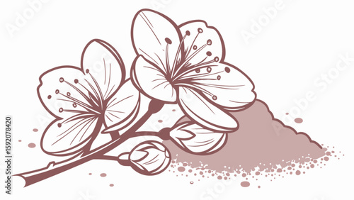 Cherry blossom flower drawing vector art illustration spring bloom floral design botanical sketch outline 100 char