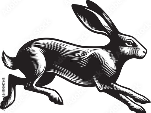 Running Hare Illustration