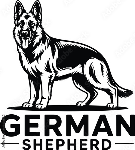 Artistic german shepherd dog portrait with vibrant color accents and clean lines