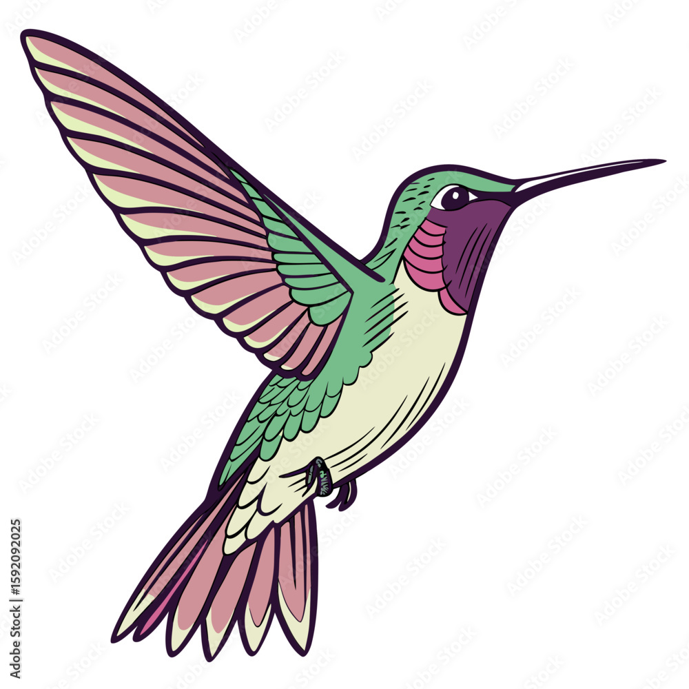 Obraz premium Hummingbird vector illustration perfect for posters, icon, t-shirts, cards, wall art prints and ai design.