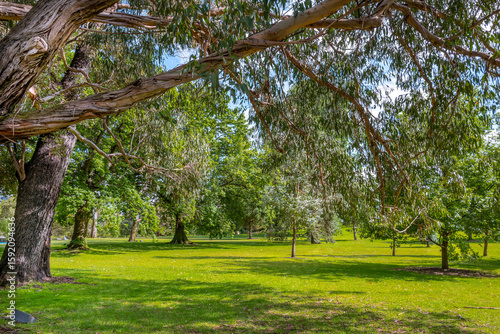 Photos Royal Botanic Gardens Victoria