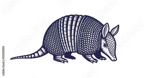 Armadillo illustration presented on transparent background with engraved style. Armadillo artwork includes distinctive bands of bony plates with a sturdy tail and short legs, drawn in vintage style.