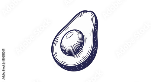 Avocado drawing showcases detailed monochrome illustration of fruit on transparent background. Avocado drawing shows internal seed and fresh texture.