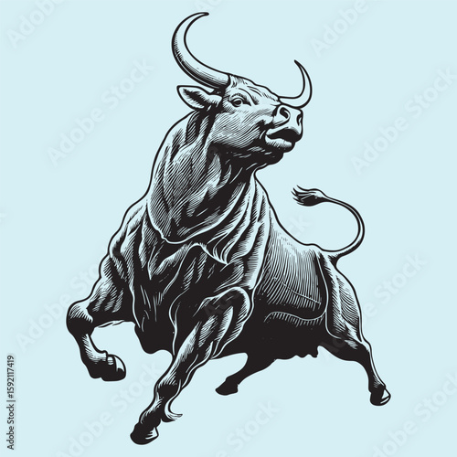 bull on a white background