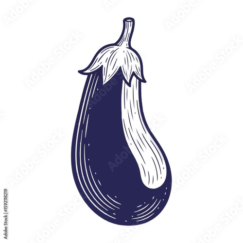 Fresh Eggplant, a nutritious vegetable for healthy eating, in an engraved style. Eggplant is shown with detailed lines in a hand-drawn style.