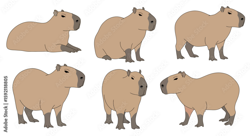 Obraz premium Cartoon capybara characters in various poses on white background 
