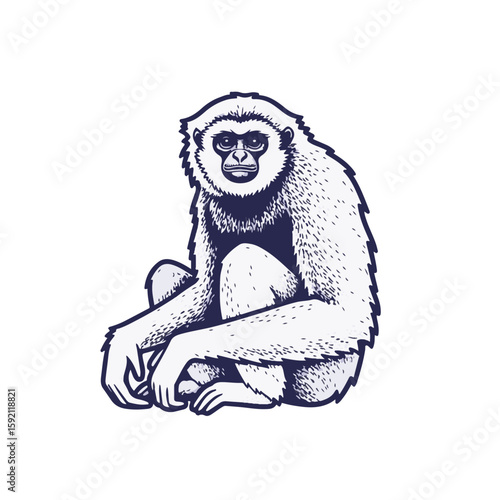 Gibbon sitting with thoughtful expression in a clear background. Gibbon, a captivating ape, showcases its unique charm, sitting comfortably and exuding a pensive aura.