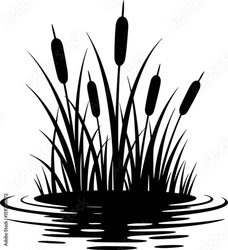 Silhouette of cattails and reeds reflecting in calm water
