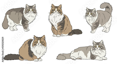 Five playful Ragamuffin cats in various poses and colors  